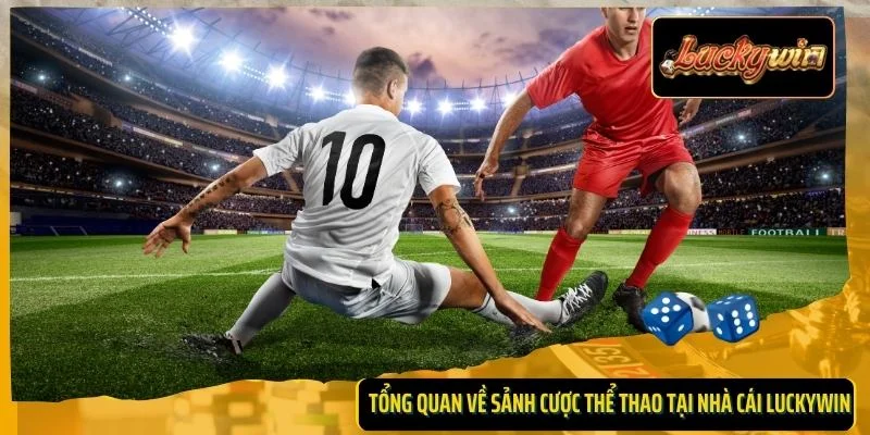 Tổng quan về sảnh cược thể thao tại nhà cái Luckywin